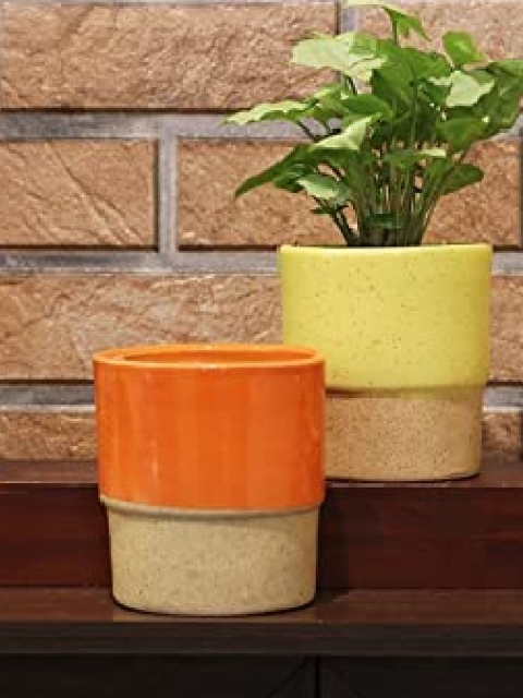 

Leafy Tales Set Of 3 Solid Planter, Yellow