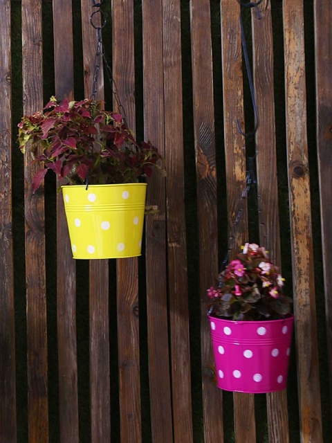 

Leafy Tales Set Of 10 Printed Metal Chain Hanging Planter, Multi
