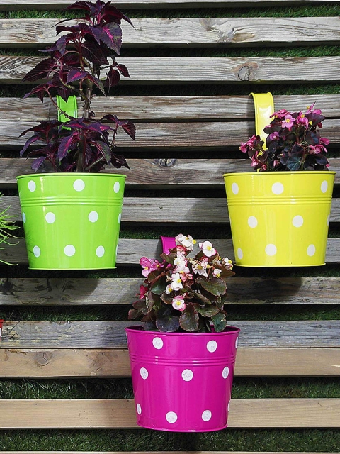 

Leafy Tales Set Of 5 Metal Pot Hanging Planters, Yellow