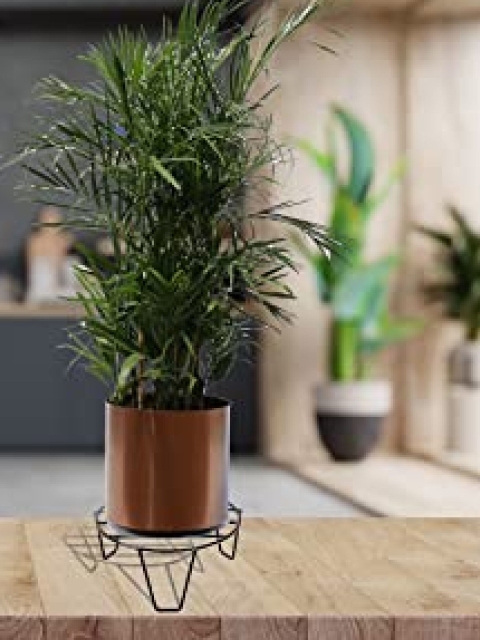 

Leafy Tales Set Of 11 Round Iron Plant Stands, Black