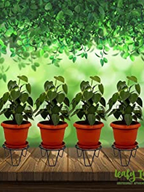 

Leafy Tales Set of 15 Round Iron Planter Stands, Black