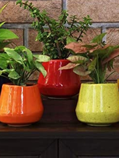 

Leafy Tales Set of 3 Solid Ceramic Planter Pots, Orange