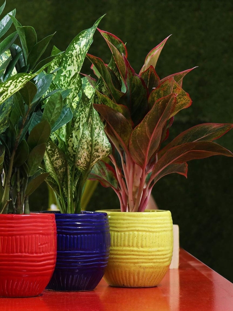 

Leafy Tales Set Of 2 Yellow & Orange Ceramic Planters