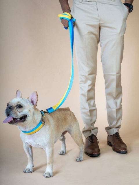 

thepawpstarco Blue & Yellow Colourblocked Dog Training Leash