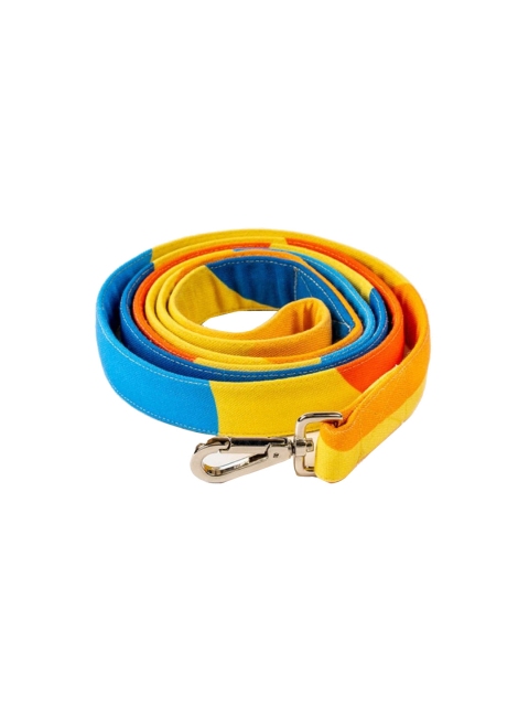 

thepawpstarco Yellow & Blue Colourblocked Dog Leash