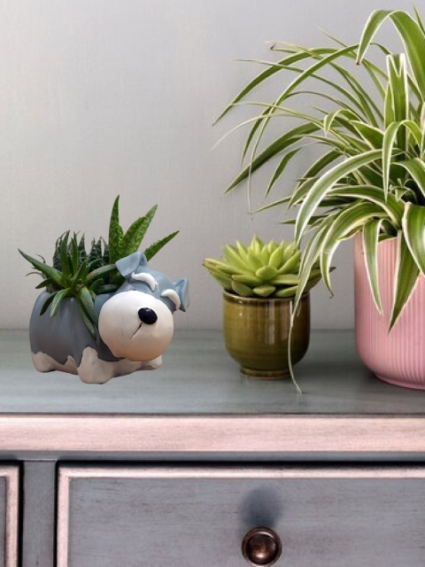 

Leafy Tales Unisex Grey & White Planters