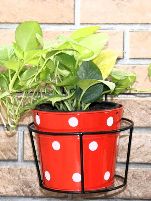 

Leafy Tales Black Hanging Flower Pot Holder