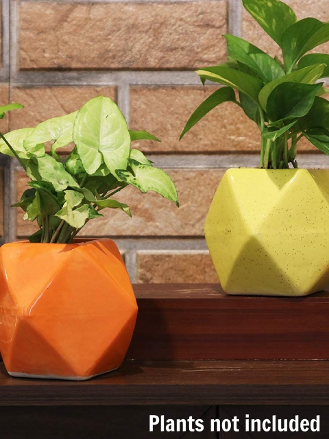 

Leafy Tales Set of 2 Polygon Shaped Ceramic Pot, Orange