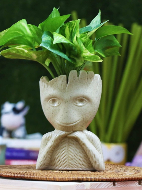 

Leafy Tales Brown Groot Shape Ceramic Pot Planters