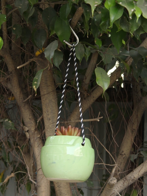 

Wonderland Green Solid Round Ceramic Hanging Planter
