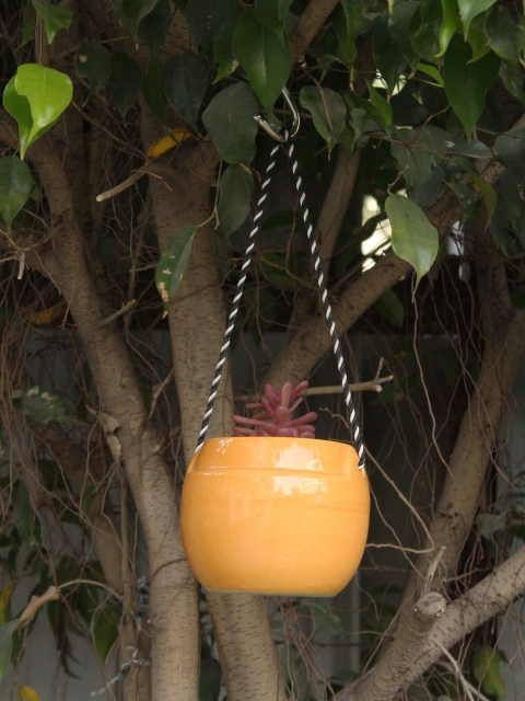 

Wonderland Yellow Round Ceramic Hanging Pot Planter
