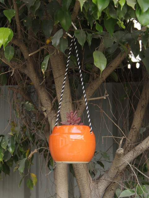 

Wonderland Orange Round Hanging Ceramic Planter