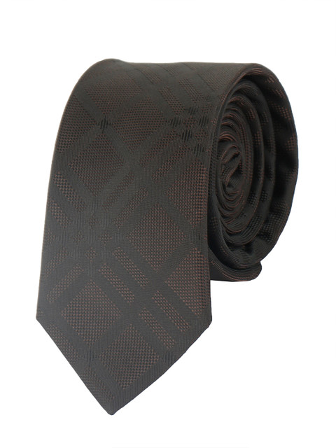 

Alvaro Castagnino Men Brown & Black Woven Design Micro-Fiber Skinny Tie