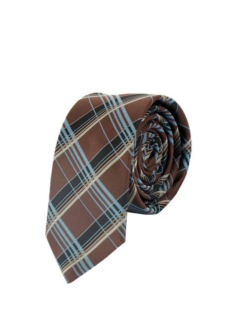 

Alvaro Castagnino Men Brown & Turquoise Blue Checked Skinny Tie