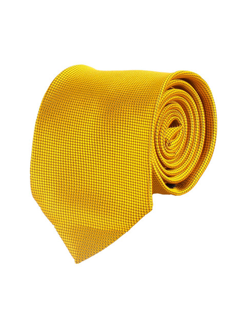 

Alvaro Castagnino Men Gold-Toned Checked Skinny Tie