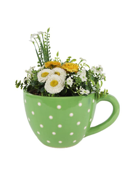 

Wonderland Green Ceramic Polka Dot Printed Cup Pot