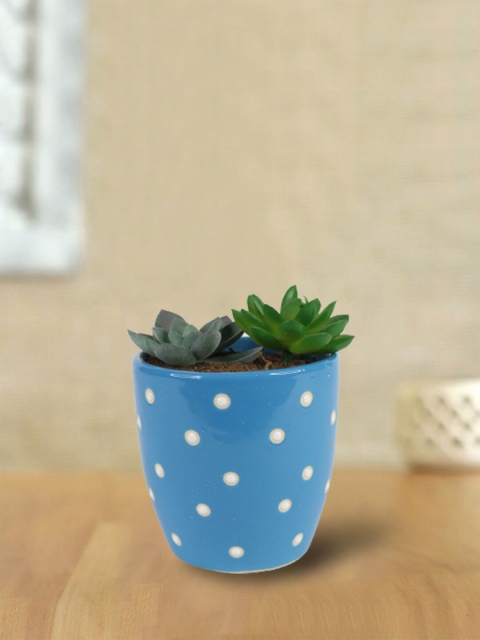 

Wonderland Blue Ceramic Dotted Circular Flower Pot
