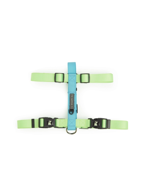 

thepawpstarco Lime Green & Blue Solid Nylon Harness
