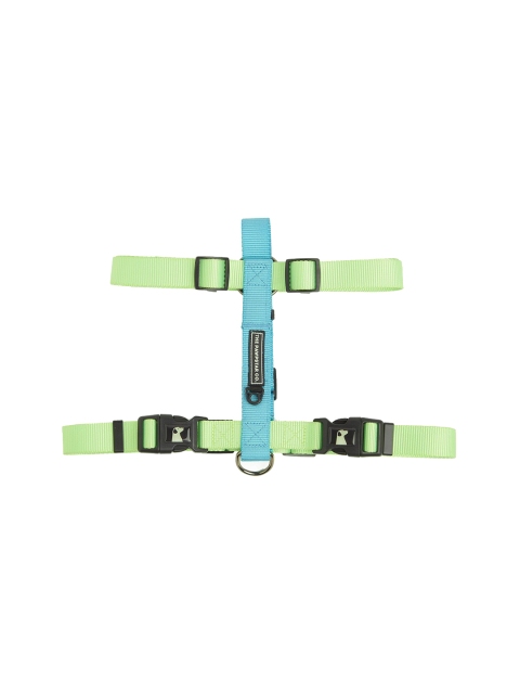 

thepawpstarco Lime Green & Blue Nylon Dog Harness