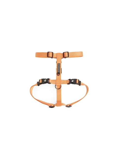 

thepawpstarco Orange Solid Dog Harness