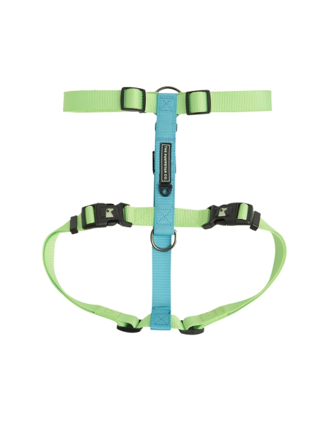 

thepawpstarco Lime Green & Blue Solid Nylon Harness