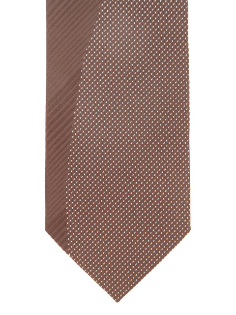 

Alvaro Castagnino Brown Striped Silk Tie