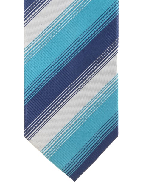 

Alvaro Castagnino Blue Striped Silk Tie