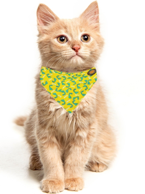 

Dchica Paws Yellow & Green Printed Cat Collars
