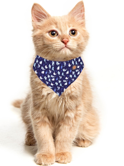 

Dchica Paws Blue & White Printed Cat Collars