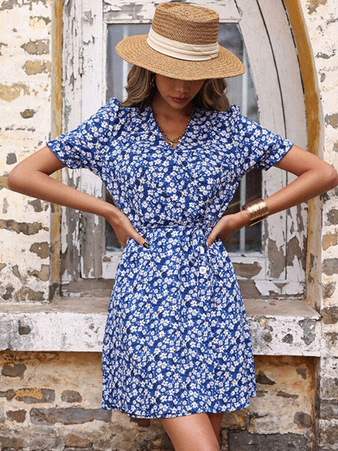 

La Aimee Women Blue & White Floral Print Dress