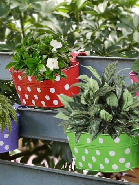 

Leafy Tales Red & White Printed Rust-Free Hanging Planter