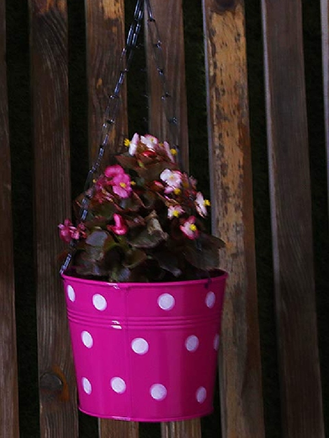 

Leafy Tales Fuchsia Pink & White Printed Planters