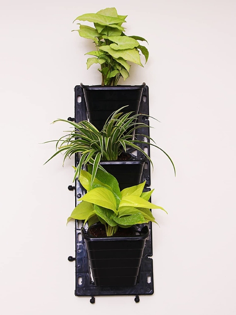 

Leafy Tales Set of 10 Plastic Hanging Planters with Stand, Black