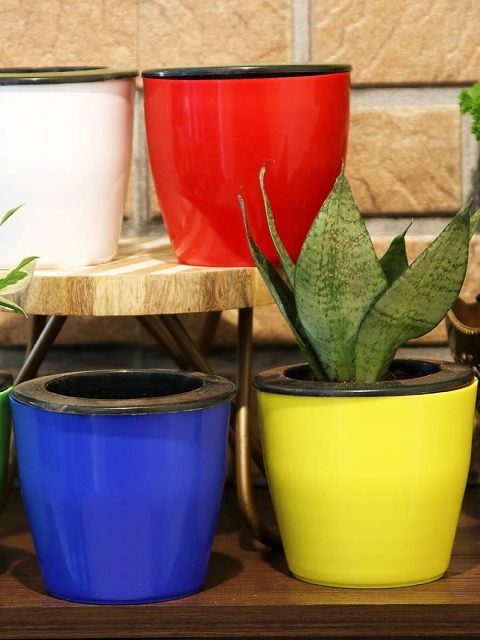 

Leafy Tales Set of 5 Multicoloured Self Watering Pot, Multi