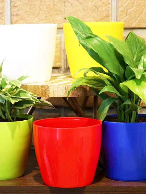 

Leafy Tales Set Of 10 Assorted Planters