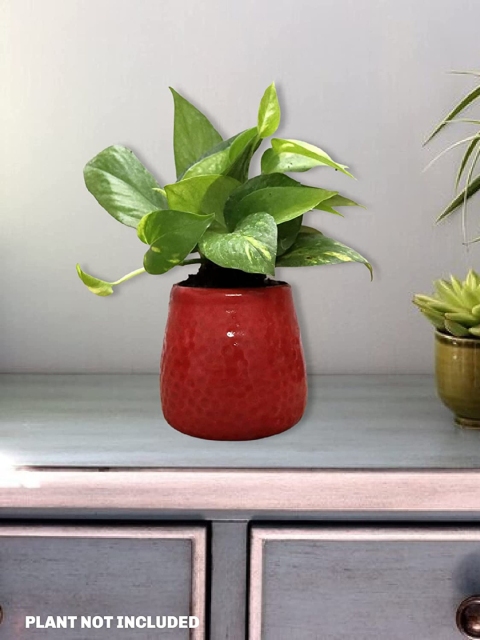 

Leafy Tales Red Honeycomb Ceramic Planter