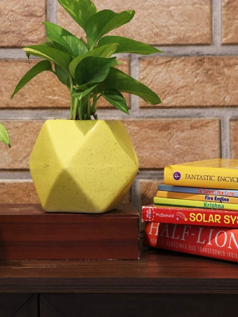 

Leafy Tales Yellow Solid Polygon Shape Ceramic Pot