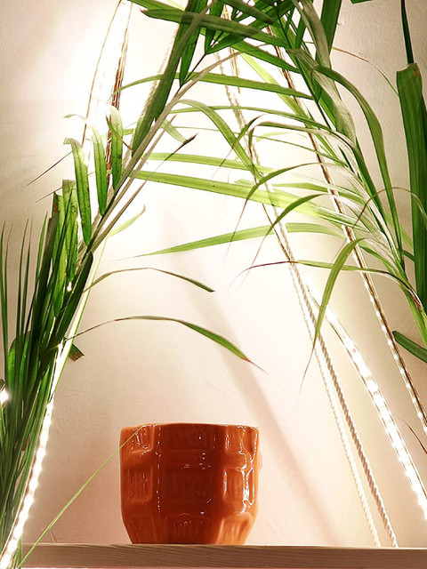 

Leafy Tales Orange Ceramic Planter