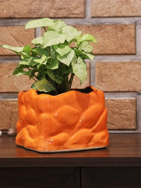 

Leafy Tales Orange Stone Shape Ceramic Pot
