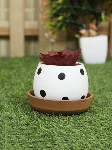

Wonderland White Terracotta Planter With Saucer