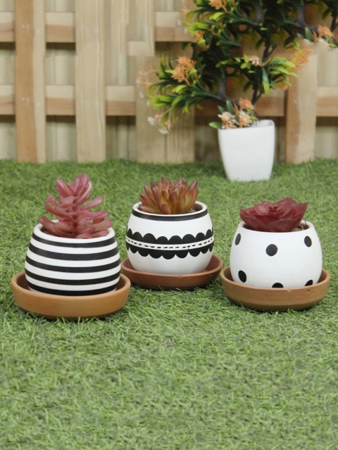 

Wonderland Set Of 3 Matka Shaped Planters With Saucer, White