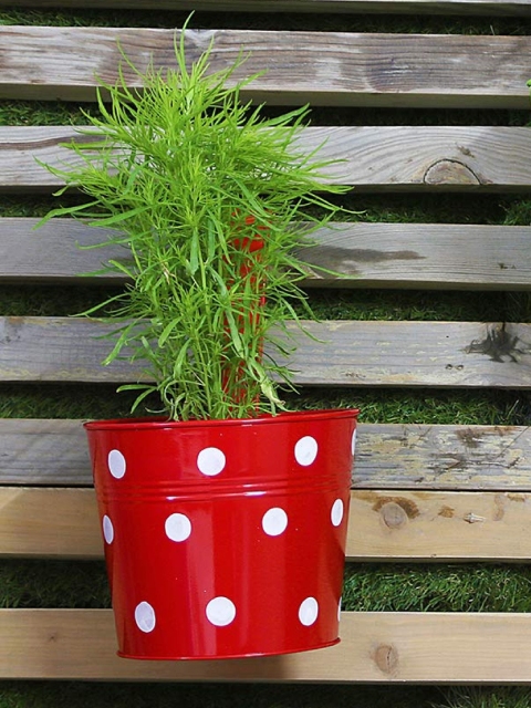 

Leafy Tales Red & White Printed Metal Hanging Planter