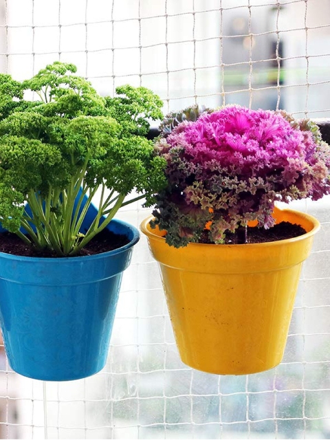 

Leafy Tales Set of 10 Assorted Plastic Hanging Pot Planters