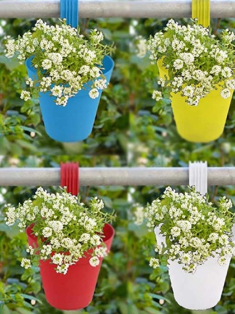 

Leafy Tales Set Of 5 Multicoloured Hook Hanging Planters, Assorted