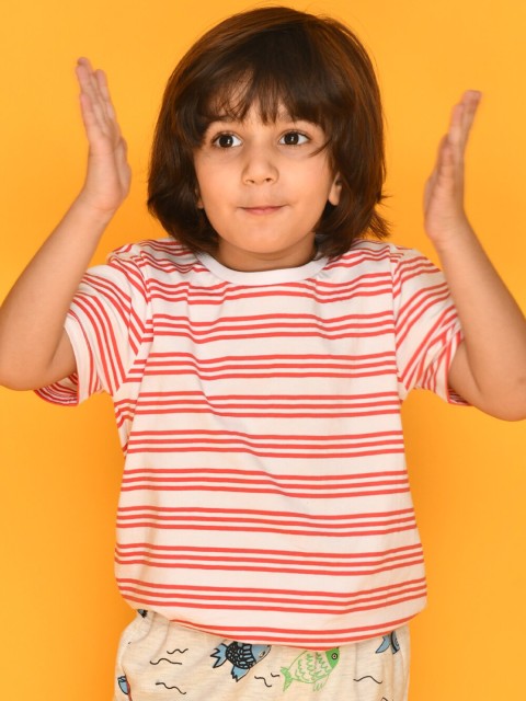 

Anthrilo Boys White & Grey Striped T-shirt with Shorts