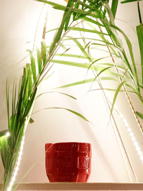 

Leafy Tales Red Textured Barrel Shaped Ceramic Pot Planters