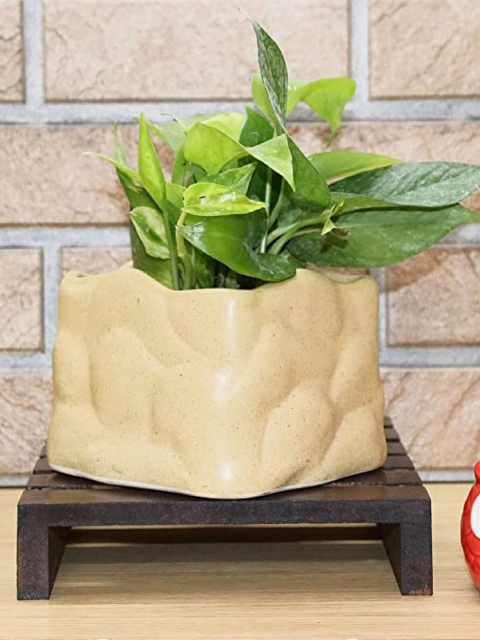 

Leafy Tales Set Of 3 Multicolored Stone Shaped Ceramic Planters, Camel brown