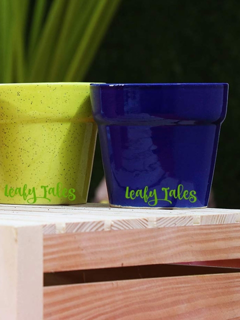 

Leafy Tales Unisex Blue Planters