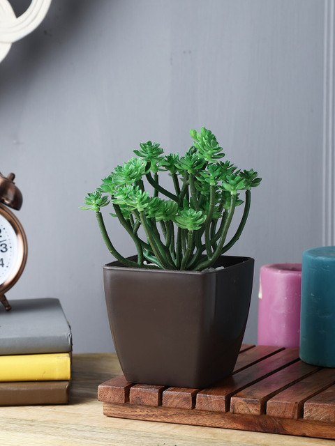 

FOLIYAJ Unisex Green Artificial Cactus Plant With Pot