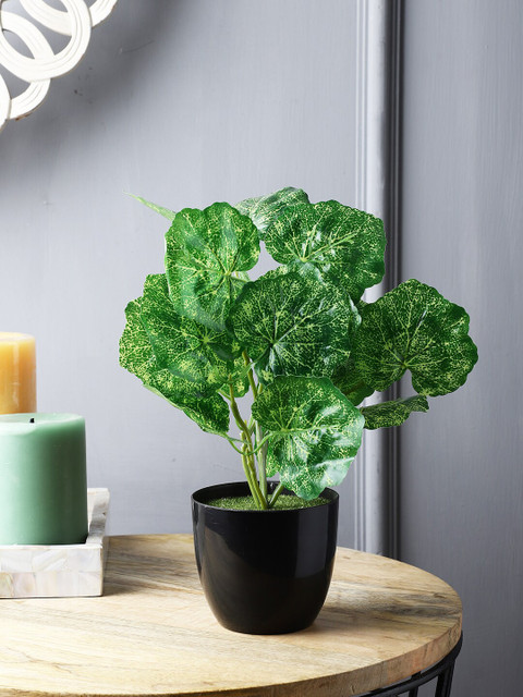 

FOLIYAJ Green & Black Ivy Artificial Plants With Pot